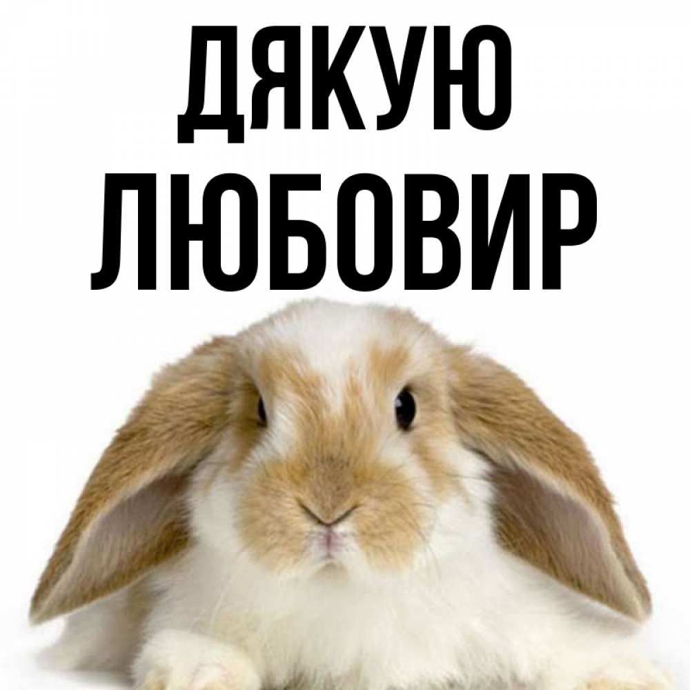 Открытка на каждый день з підписом, Любовир Дякую коричнево белый заяц Прикольна листівка з побажанням онлайн скачати безкоштовно 