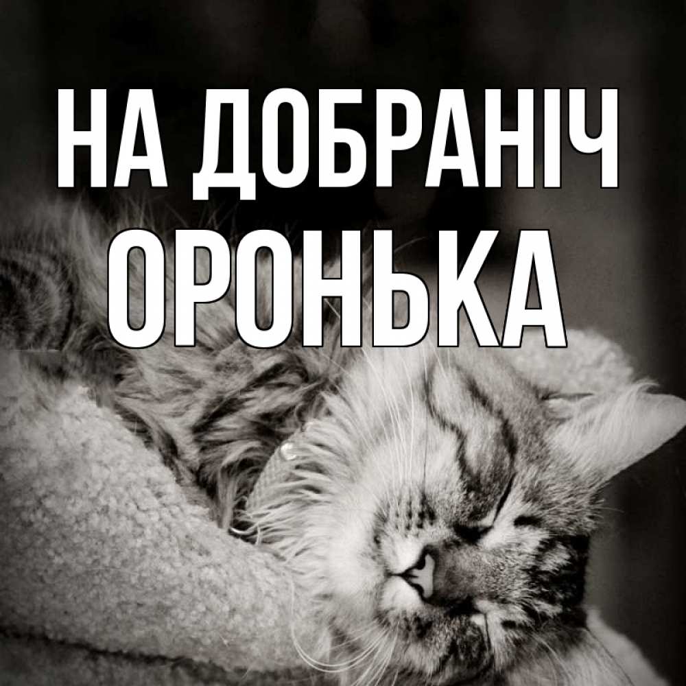 Открытка на каждый день з підписом, Оронька На добраніч котярик пушистый Прикольна листівка з побажанням онлайн скачати безкоштовно 