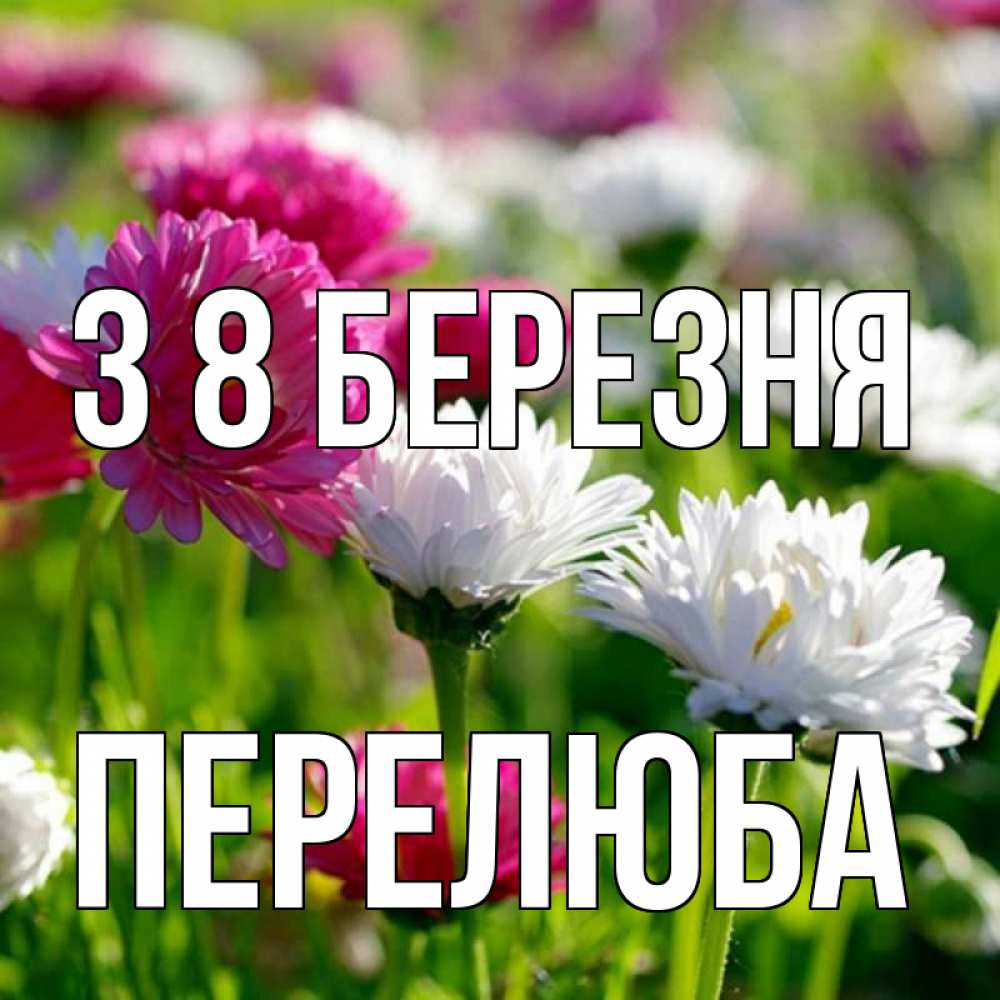 Открытка на каждый день з підписом, Перелюба З 8 БЕРЕЗНЯ международный женский день 1 Прикольна листівка з побажанням онлайн скачати безкоштовно 