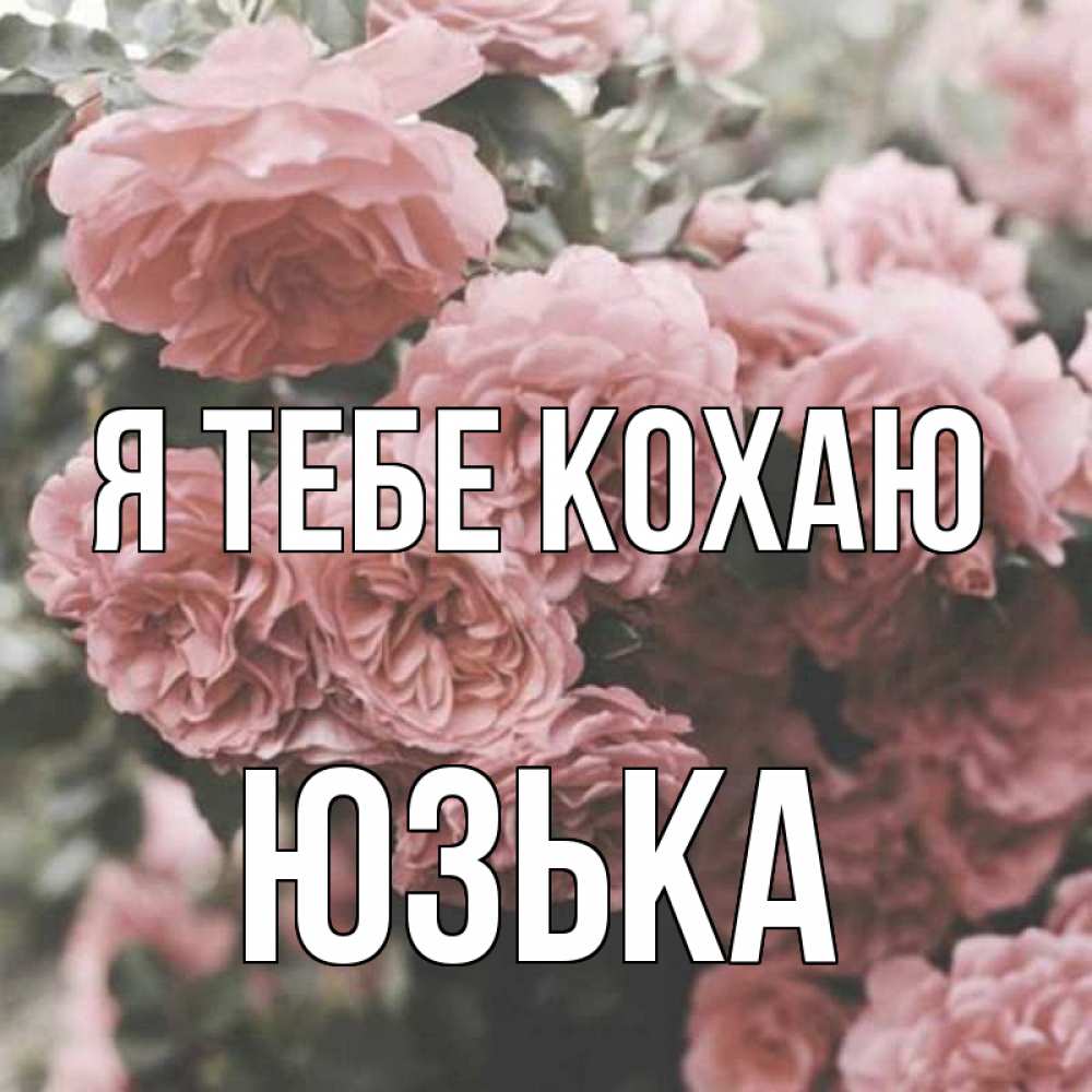 Открытка на каждый день з підписом, Юзька Я тебе кохаю розы 3 Прикольна листівка з побажанням онлайн скачати безкоштовно 