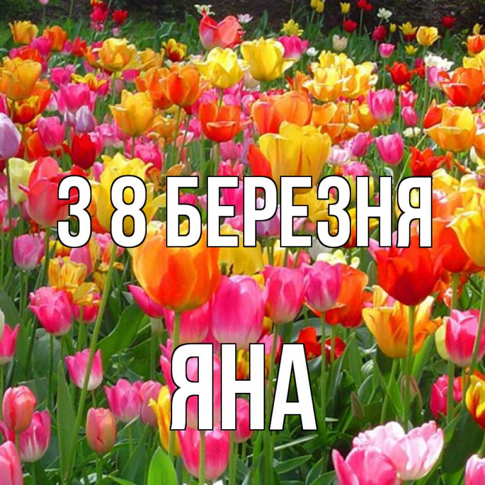 Открытка на каждый день з підписом, Яна З 8 БЕРЕЗНЯ на международный женский день Прикольна листівка з побажанням онлайн скачати безкоштовно 