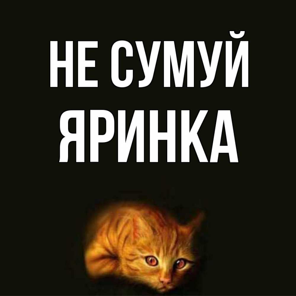 Открытка на каждый день з підписом, Яринка Не сумуй лежащий кот в темноте Прикольна листівка з побажанням онлайн скачати безкоштовно 
