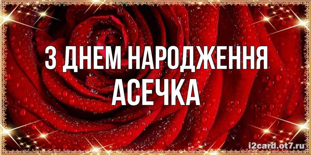 Открытка на каждый день з підписом, Асечка З Днем народження роса на розе блестящая в лучах солнца Прикольна листівка з побажанням онлайн скачати безкоштовно 