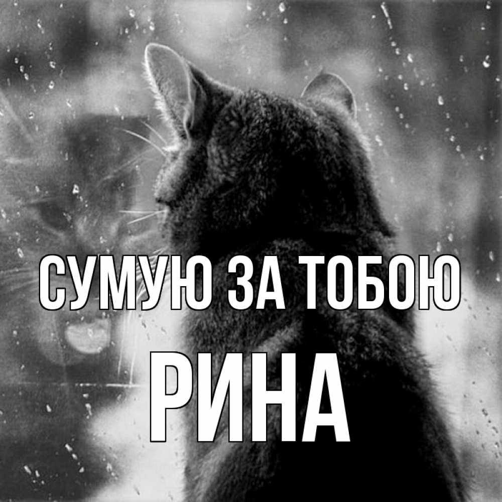 Открытка на каждый день з підписом, Рина Сумую за тобою скорее ко мне приходи 1 Прикольна листівка з побажанням онлайн скачати безкоштовно 