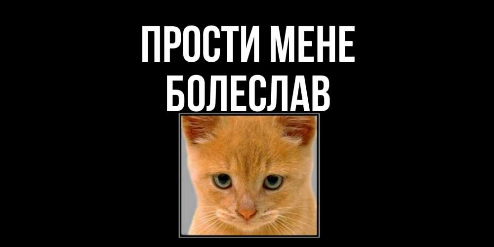Открытка на каждый день з підписом, Болеслав Прости мене рыжий грустный кот просит прощения Прикольна листівка з побажанням онлайн скачати безкоштовно 