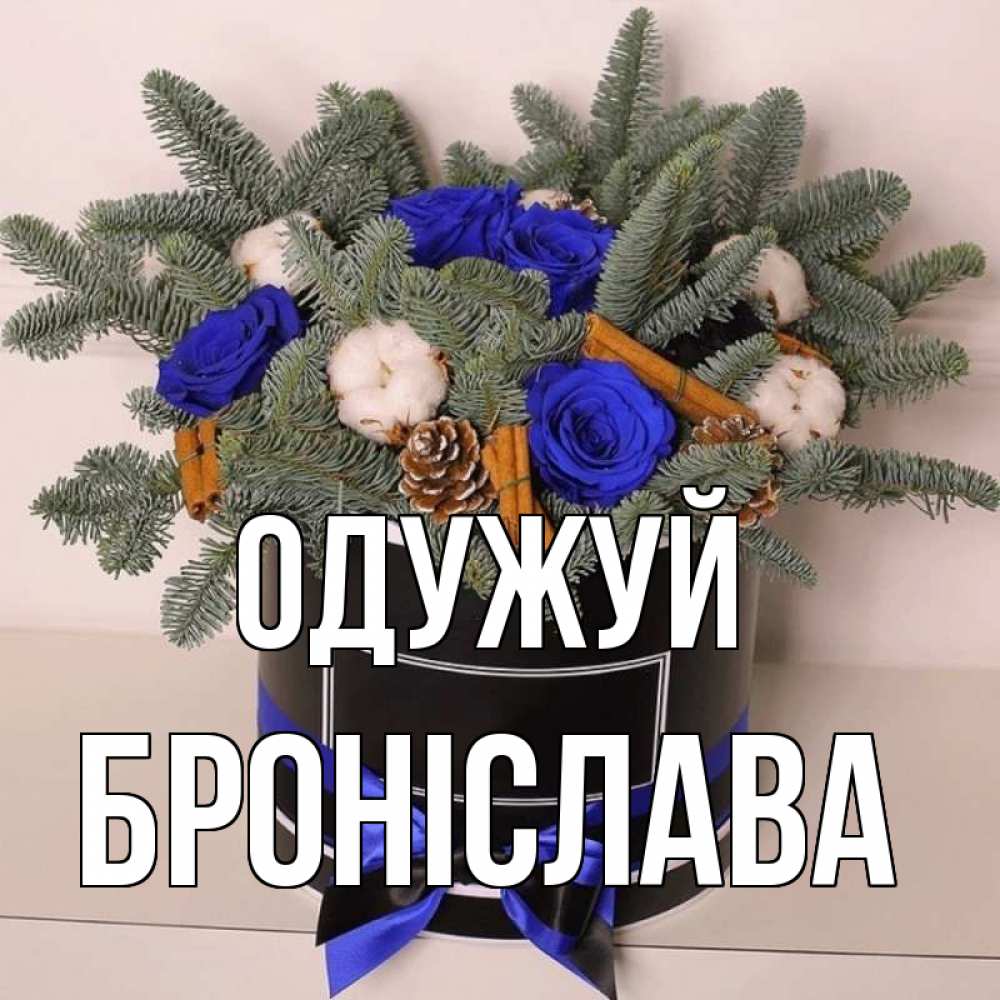 Открытка на каждый день з підписом, Броніслава Одужуй короче кто то загрузил эти шишки Прикольна листівка з побажанням онлайн скачати безкоштовно 