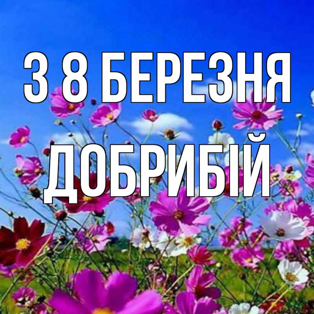 Открытка на каждый день з підписом, Добрибій З 8 БЕРЕЗНЯ цветы Прикольна листівка з побажанням онлайн скачати безкоштовно 