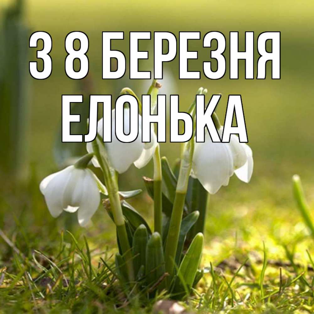 Открытка на каждый день з підписом, Елонька З 8 БЕРЕЗНЯ ранние цветы 2 Прикольна листівка з побажанням онлайн скачати безкоштовно 