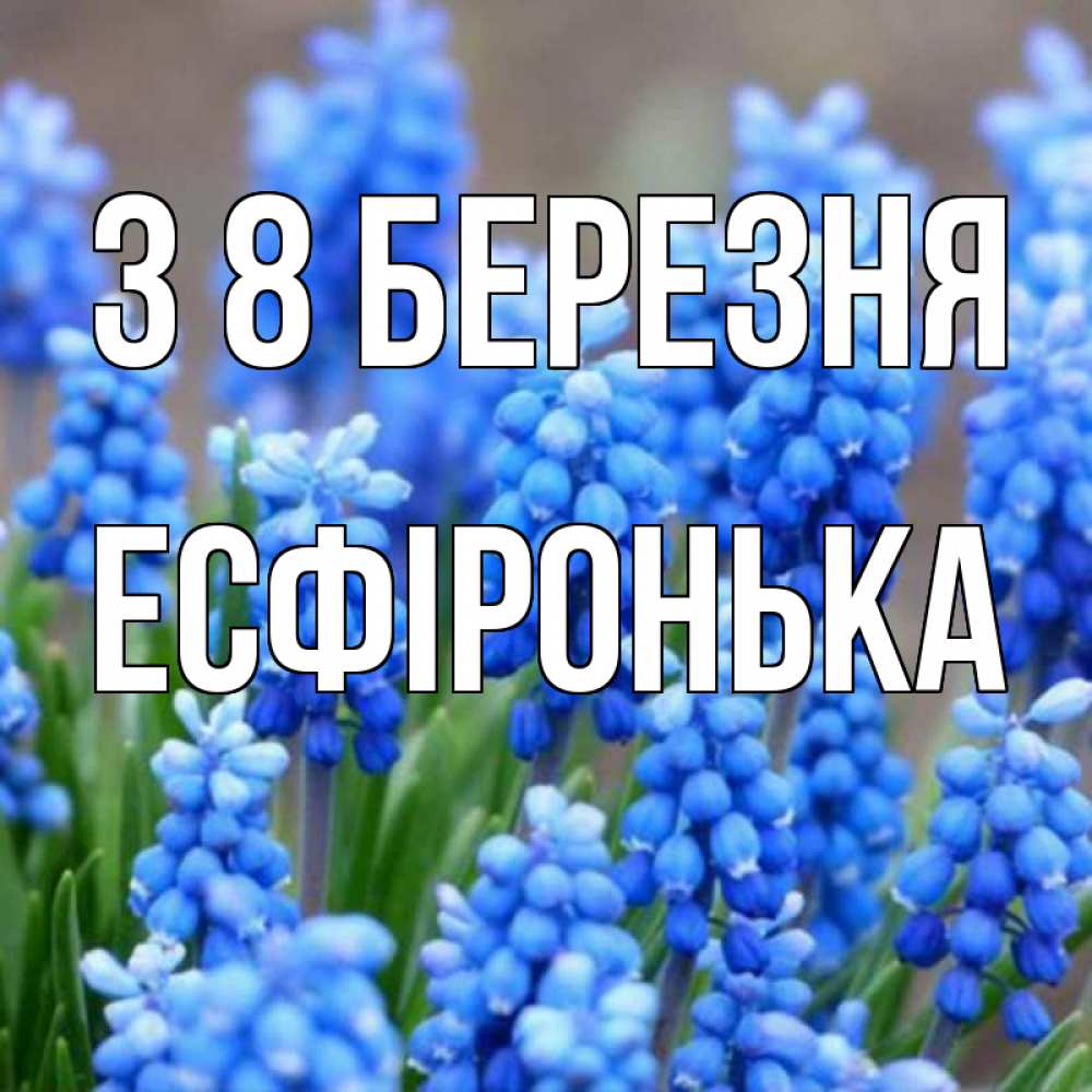 Открытка на каждый день з підписом, Есфіронька З 8 БЕРЕЗНЯ Поздравительная открытка для женщин с цветами на праздничную дату Прикольна листівка з побажанням онлайн скачати безкоштовно 
