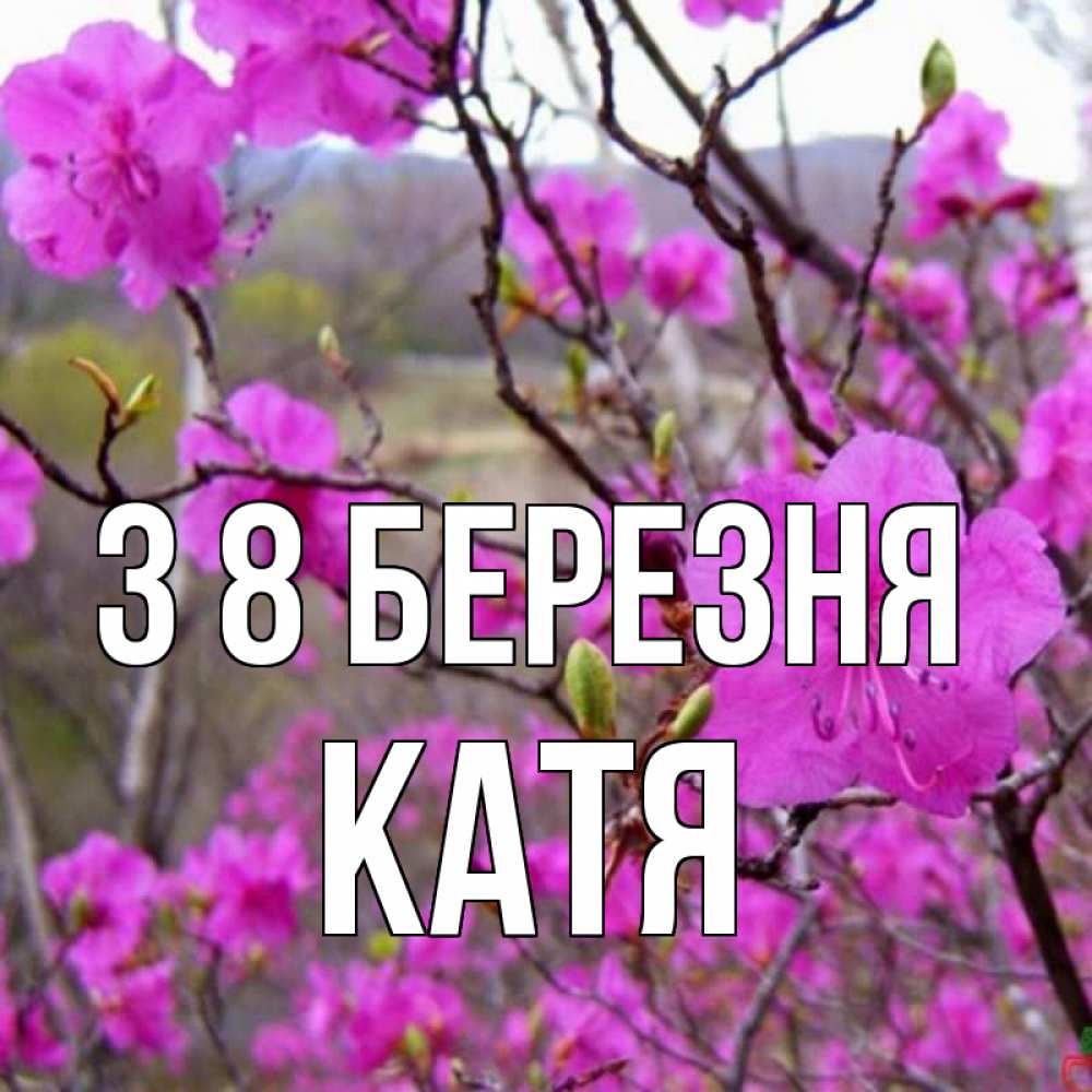 Открытка на каждый день з підписом, Катя З 8 БЕРЕЗНЯ международный женский день Прикольна листівка з побажанням онлайн скачати безкоштовно 