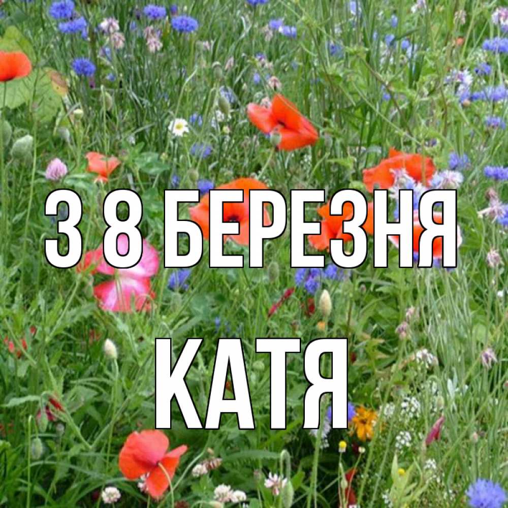 Открытка на каждый день з підписом, Катя З 8 БЕРЕЗНЯ международный женский день 4 Прикольна листівка з побажанням онлайн скачати безкоштовно 