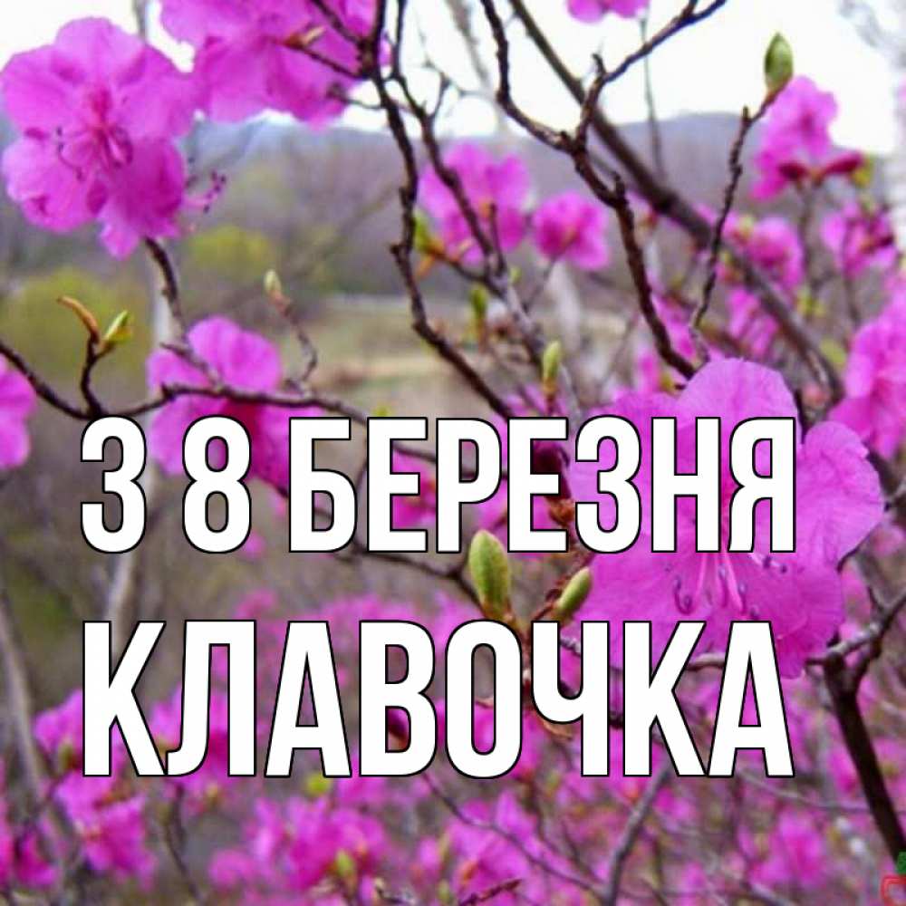 Открытка на каждый день з підписом, Клавочка З 8 БЕРЕЗНЯ международный женский день Прикольна листівка з побажанням онлайн скачати безкоштовно 
