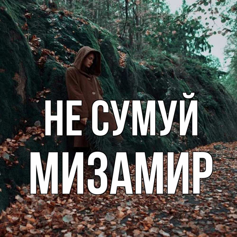 Открытка на каждый день з підписом, Мизамир Не сумуй осенний лес Прикольна листівка з побажанням онлайн скачати безкоштовно 