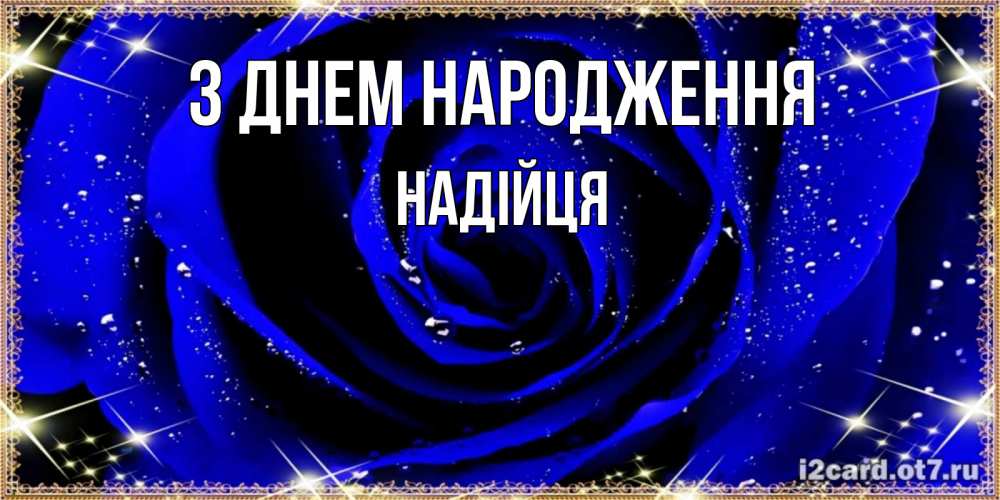 Открытка на каждый день з підписом, Надійця З Днем народження голубые цветы в росе Прикольна листівка з побажанням онлайн скачати безкоштовно 