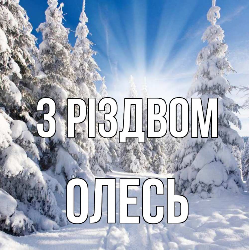 Открытка на каждый день з підписом, Олесь З Різдвом зима, лес Прикольна листівка з побажанням онлайн скачати безкоштовно 