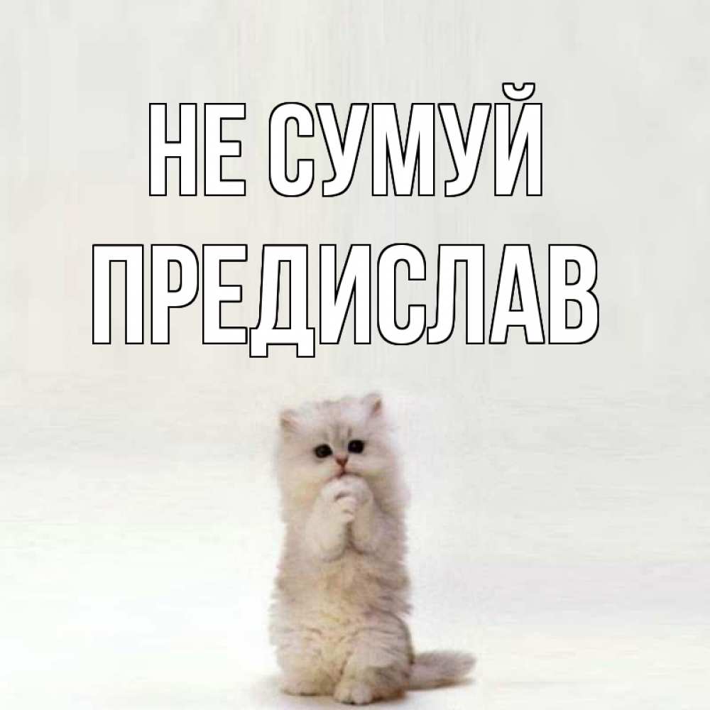 Открытка на каждый день з підписом, Предислав Не сумуй грустный кот Прикольна листівка з побажанням онлайн скачати безкоштовно 