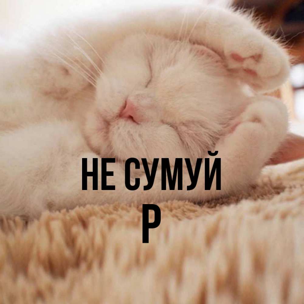 Открытка на каждый день з підписом, Р Не сумуй Котенок спит Прикольна листівка з побажанням онлайн скачати безкоштовно 
