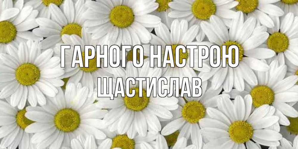 Открытка на каждый день з підписом, Щастислав Гарного настрою поляна ромашек Прикольна листівка з побажанням онлайн скачати безкоштовно 