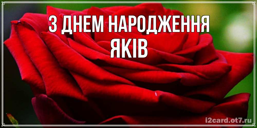 Открытка на каждый день з підписом, Яків З Днем народження розочка очень красивая Прикольна листівка з побажанням онлайн скачати безкоштовно 