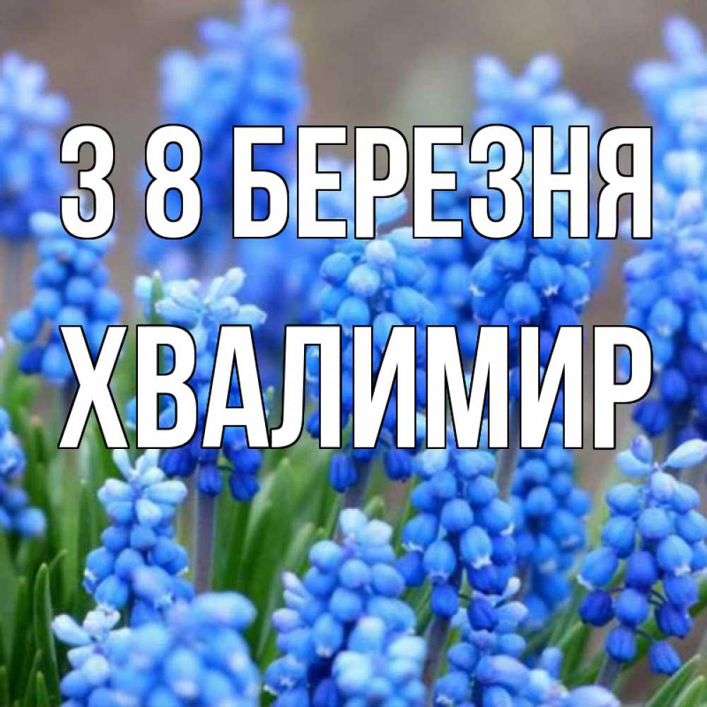 Открытка на каждый день з підписом, Хвалимир З 8 БЕРЕЗНЯ Поздравительная открытка для женщин с цветами на праздничную дату Прикольна листівка з побажанням онлайн скачати безкоштовно 
