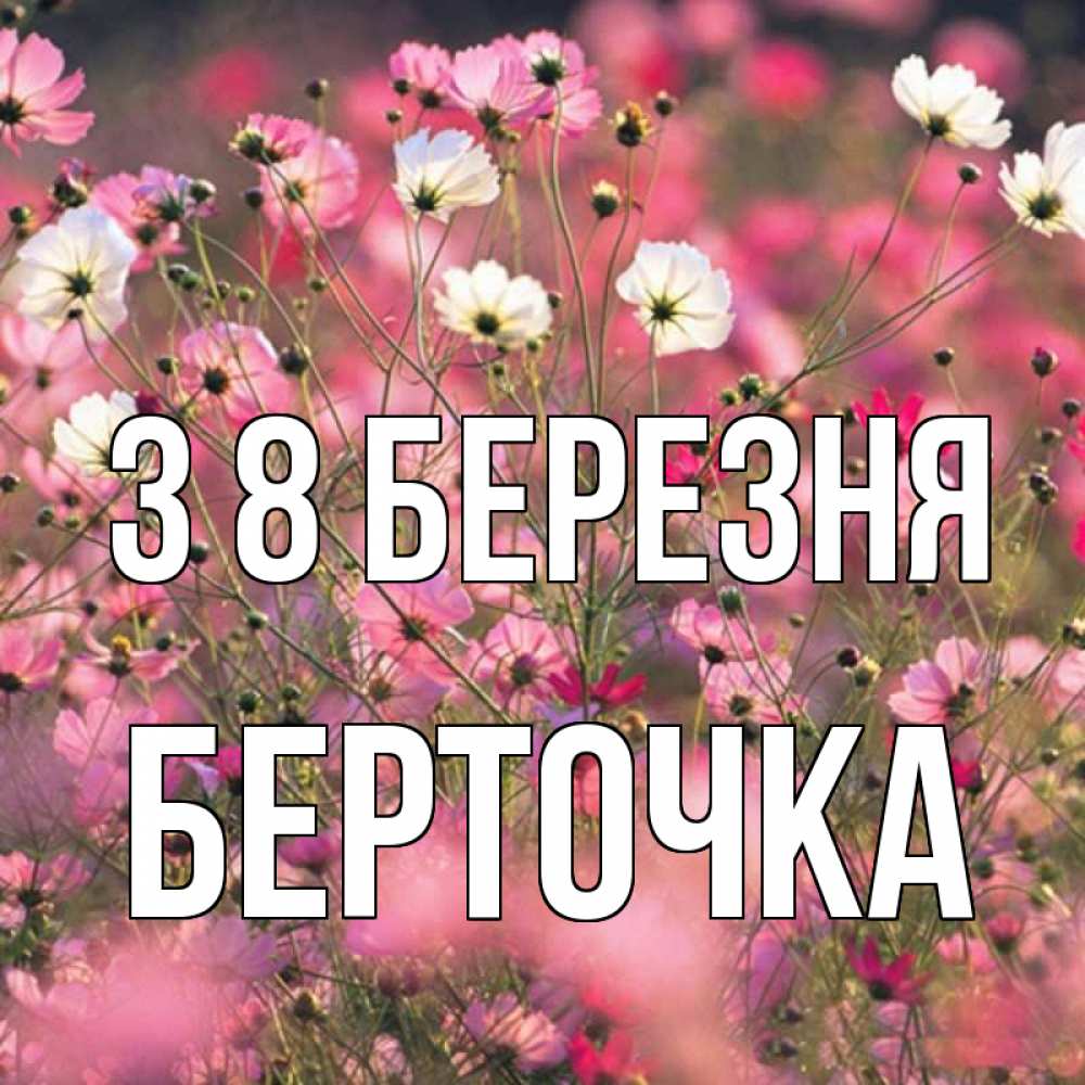 Открытка на каждый день з підписом, Берточка З 8 БЕРЕЗНЯ красиво 1 Прикольна листівка з побажанням онлайн скачати безкоштовно 