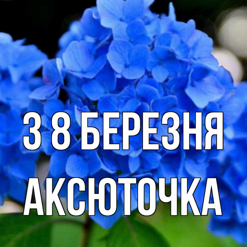 Открытка на каждый день з підписом, Аксюточка З 8 БЕРЕЗНЯ синие цветы Прикольна листівка з побажанням онлайн скачати безкоштовно 