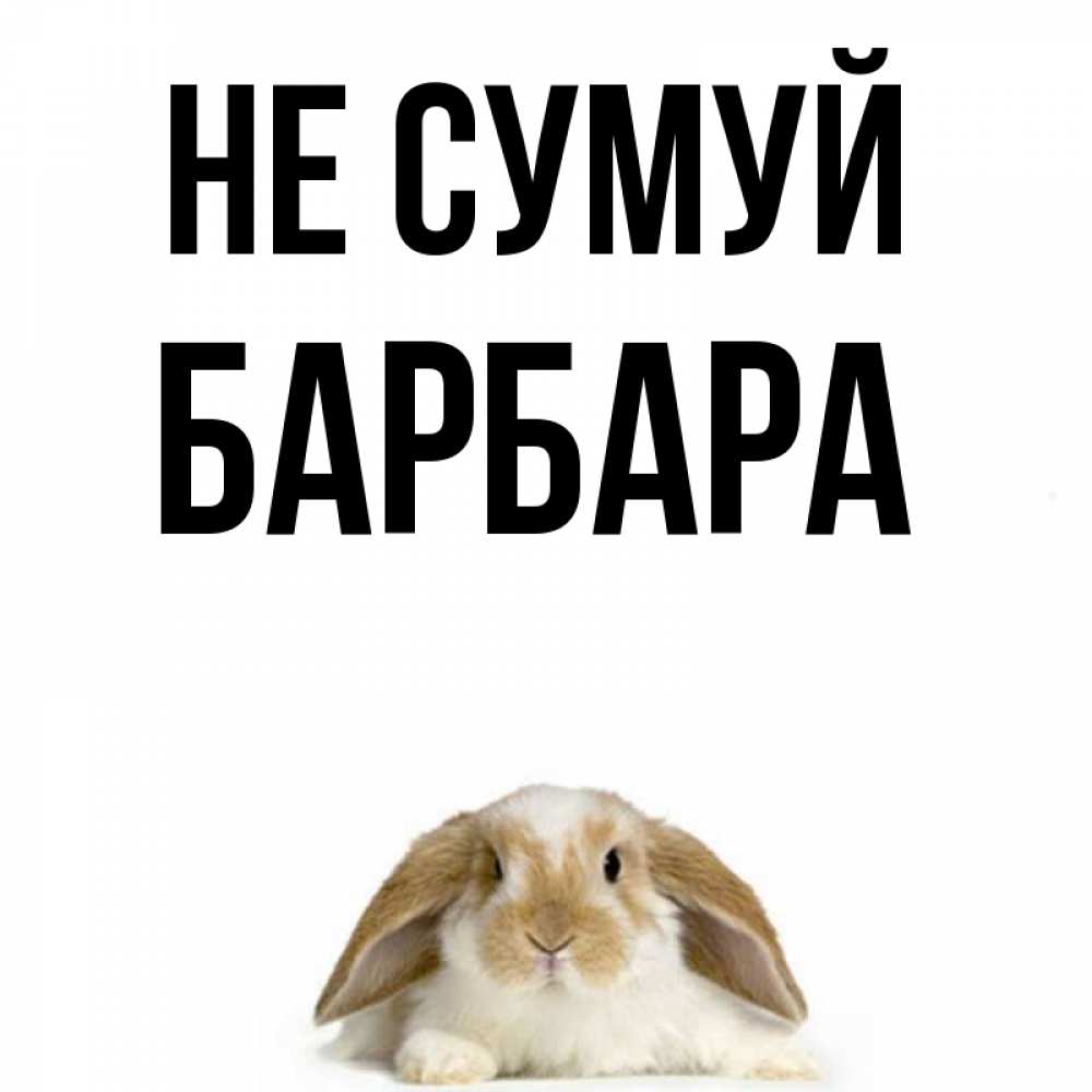 Открытка на каждый день з підписом, Барбара Не сумуй коричнево белый заяц с большими ушками Прикольна листівка з побажанням онлайн скачати безкоштовно 