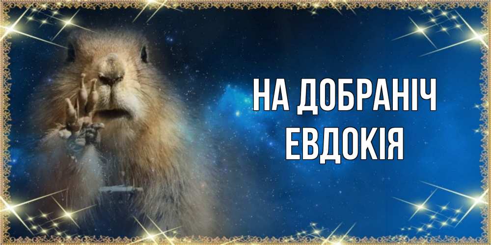 Открытка на каждый день з підписом, Евдокія На добраніч спокойной ночи сладких снов Прикольна листівка з побажанням онлайн скачати безкоштовно 