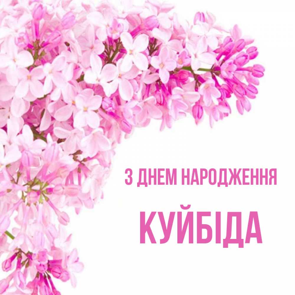 Открытка на каждый день з підписом, Куйбіда З Днем народження Сирень на белом фоне Прикольна листівка з побажанням онлайн скачати безкоштовно 