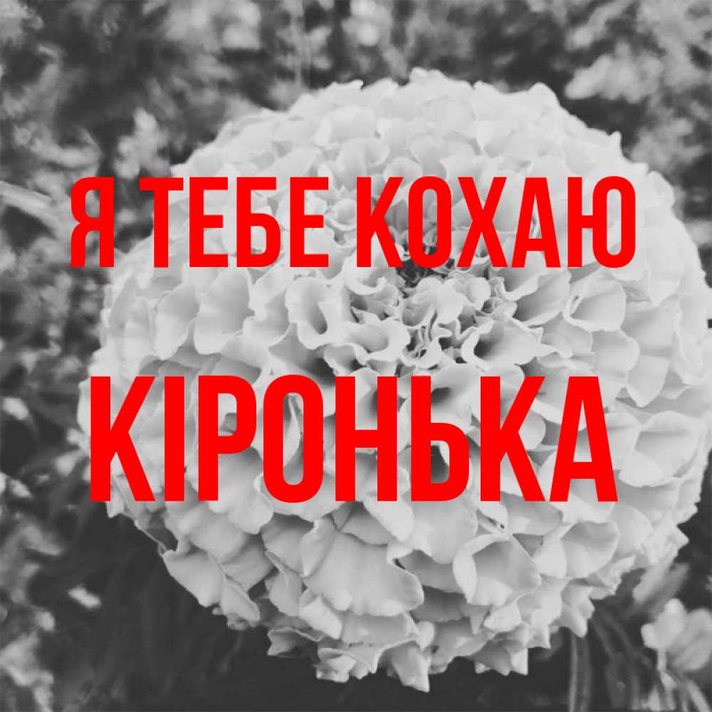 Открытка на каждый день з підписом, Кіронька Я тебе кохаю подпись Прикольна листівка з побажанням онлайн скачати безкоштовно 