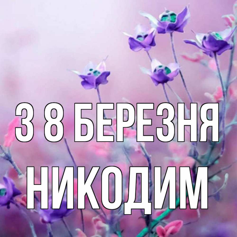 Открытка на каждый день з підписом, Никодим З 8 БЕРЕЗНЯ международный женский день 2 Прикольна листівка з побажанням онлайн скачати безкоштовно 