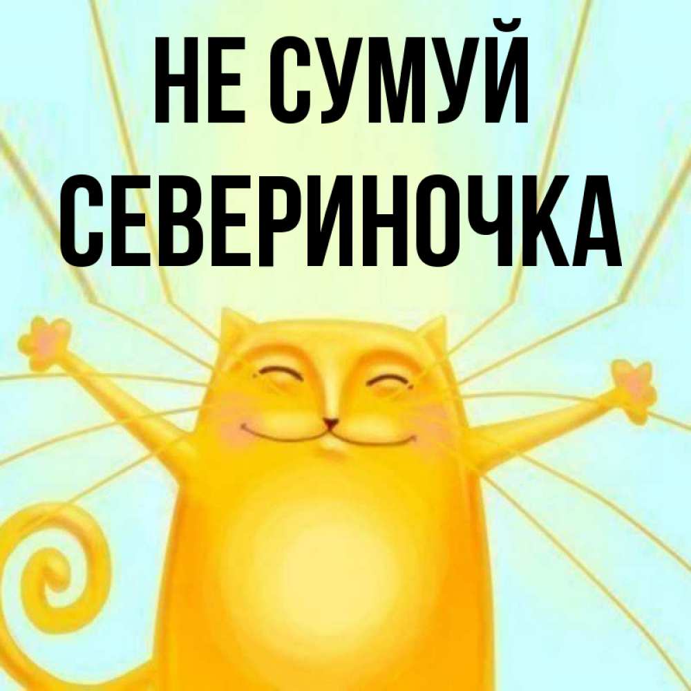 Открытка на каждый день з підписом, Севериночка Не сумуй обнимашки усатые Прикольна листівка з побажанням онлайн скачати безкоштовно 