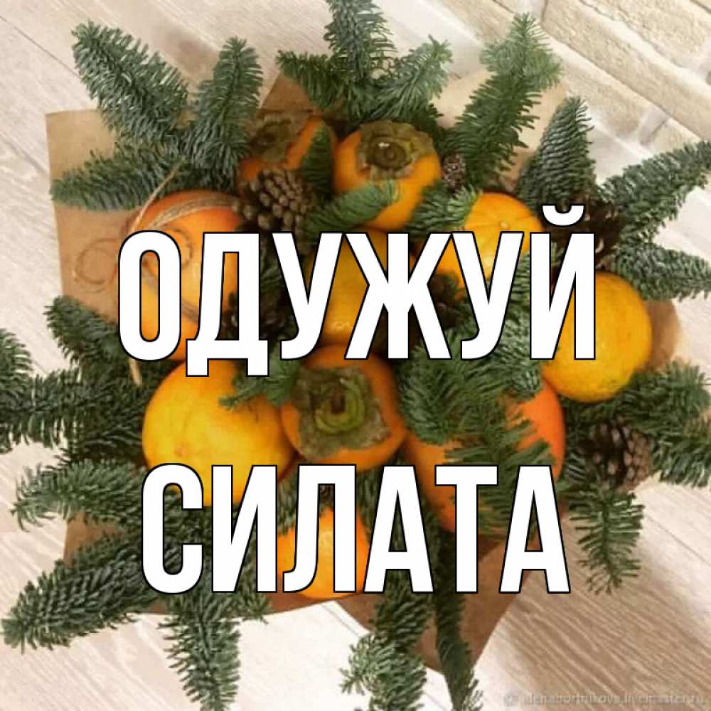 Открытка на каждый день з підписом, Силата Одужуй апельсины и хурьма Прикольна листівка з побажанням онлайн скачати безкоштовно 
