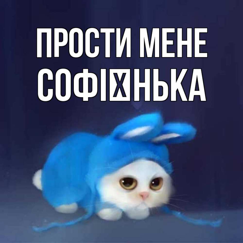 Открытка на каждый день з підписом, Софієнька Прости мене невинный котозай просит прощения Прикольна листівка з побажанням онлайн скачати безкоштовно 