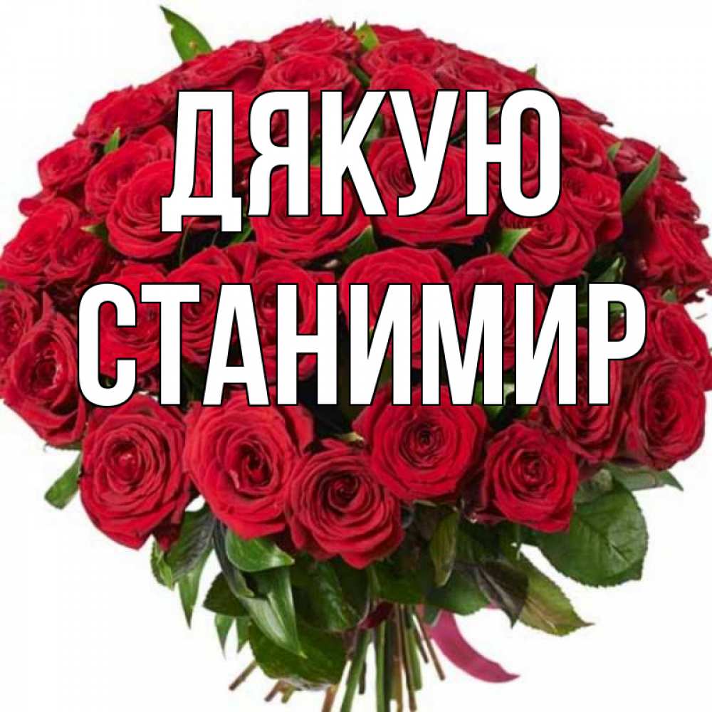 Открытка на каждый день з підписом, Станимир Дякую букет красных роз Прикольна листівка з побажанням онлайн скачати безкоштовно 