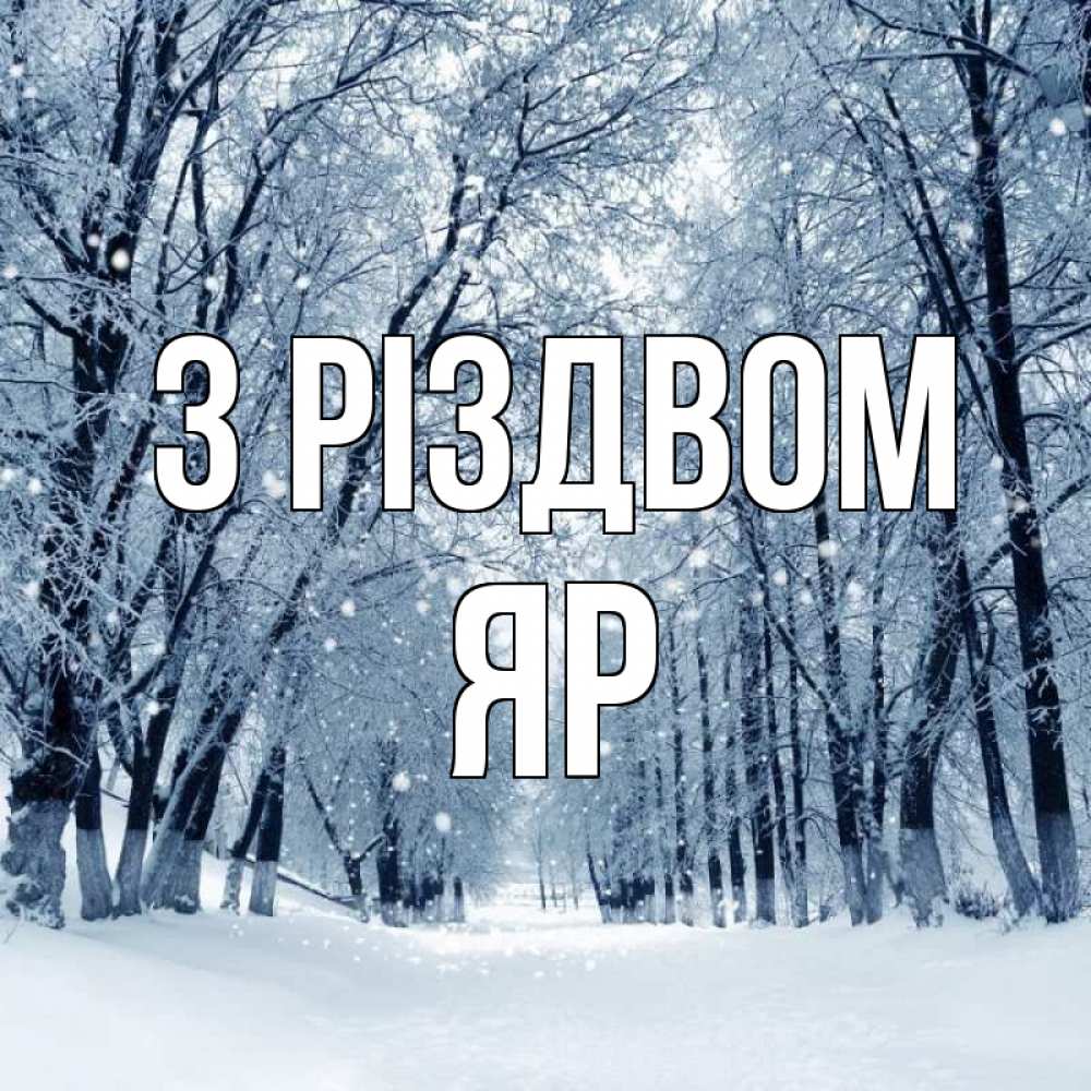 Открытка на каждый день з підписом, Яр З Різдвом снег, лес, парк Прикольна листівка з побажанням онлайн скачати безкоштовно 