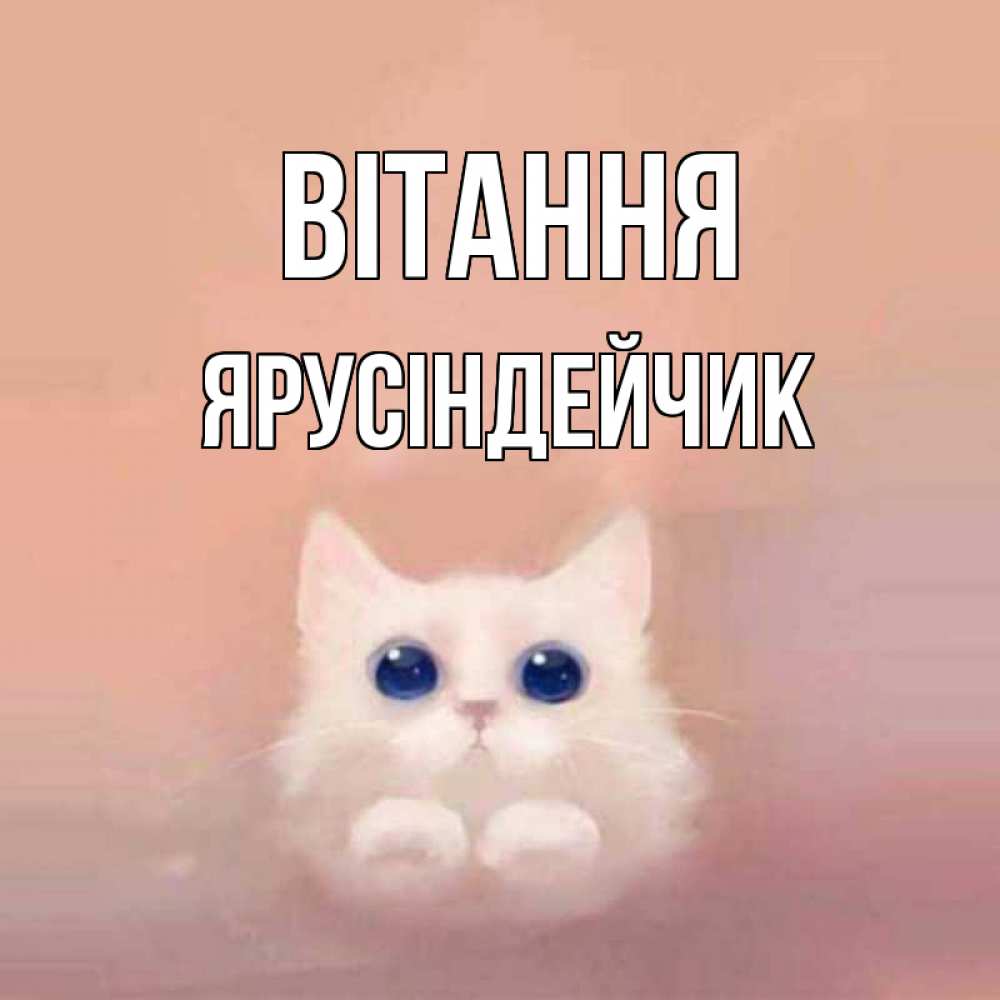 Открытка на каждый день з підписом, Ярусіндейчик Вітання котик белый в полете Прикольна листівка з побажанням онлайн скачати безкоштовно 