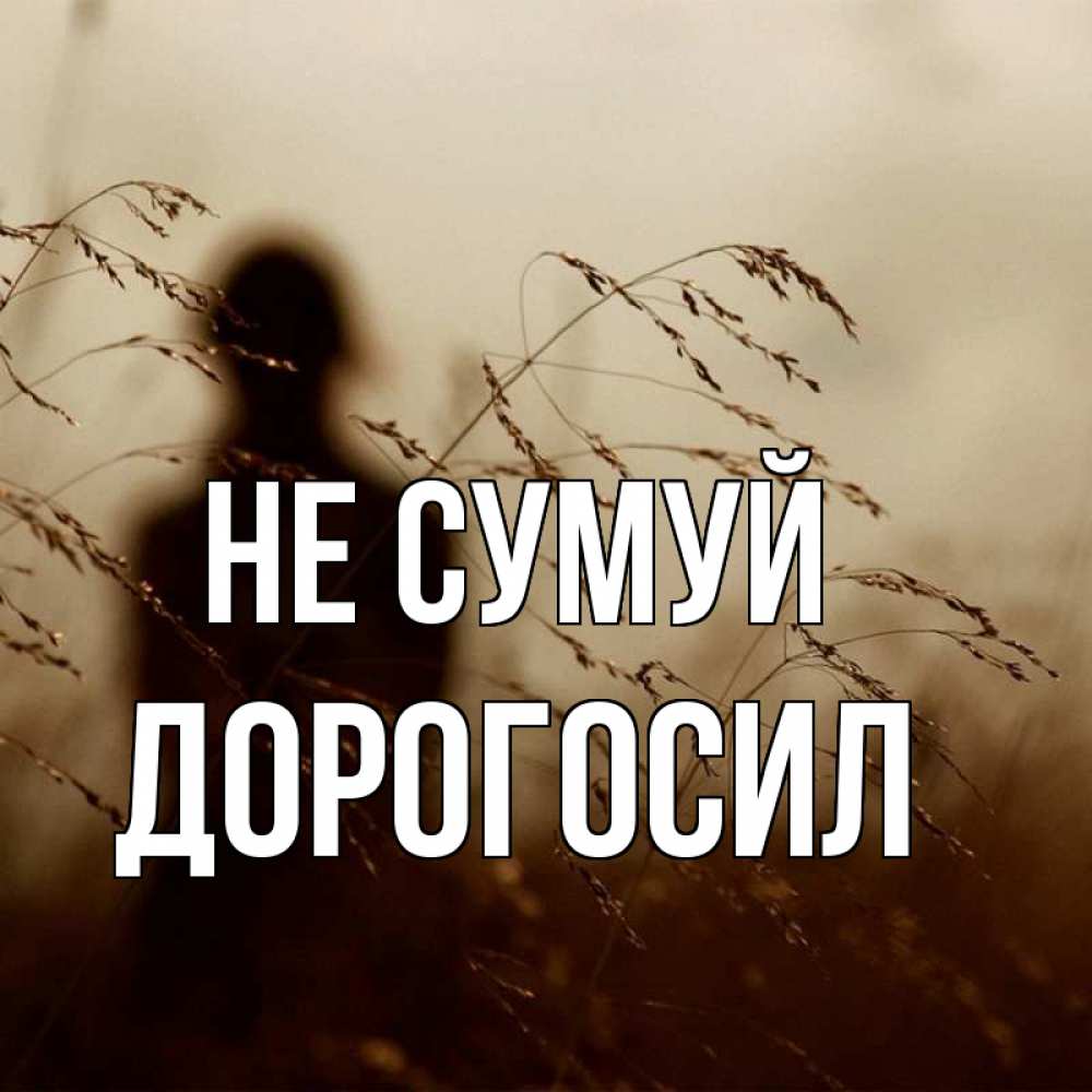 Открытка на каждый день з підписом, Дорогосил Не сумуй грусть Прикольна листівка з побажанням онлайн скачати безкоштовно 