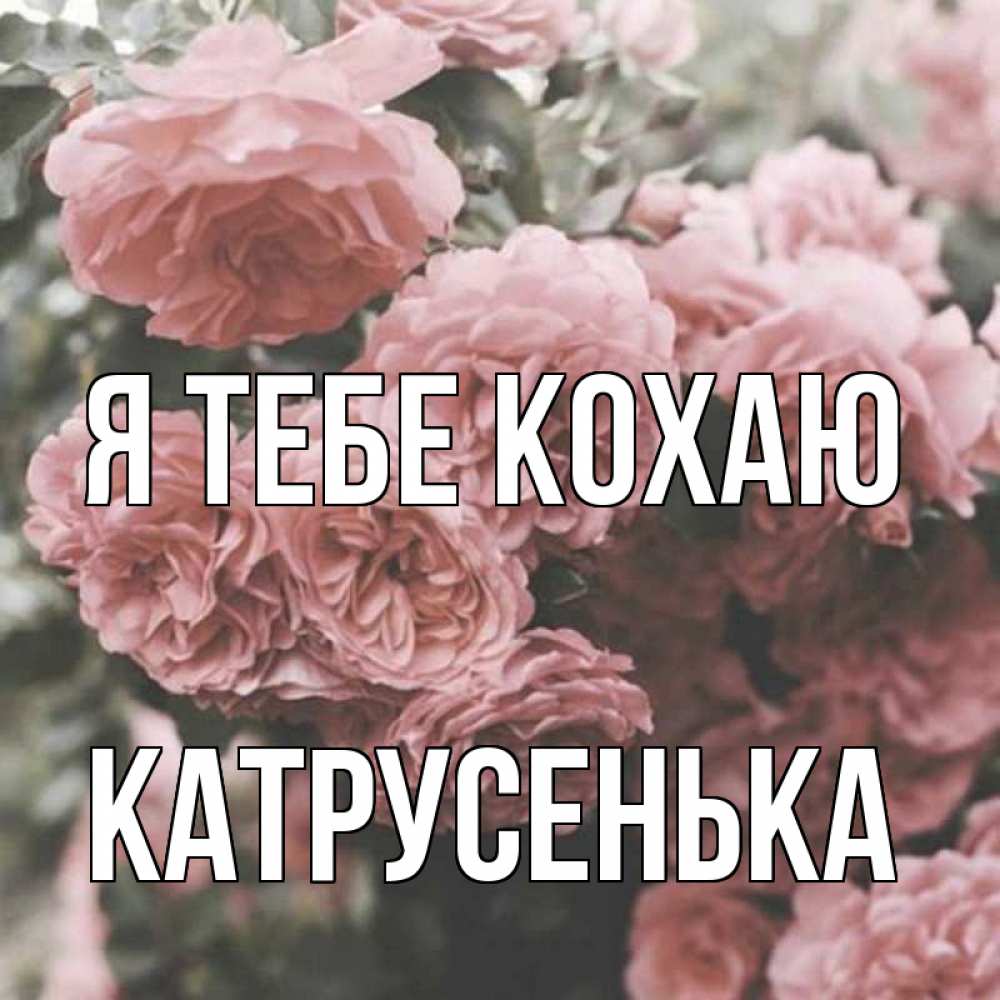 Открытка на каждый день з підписом, Катрусенька Я тебе кохаю розы 3 Прикольна листівка з побажанням онлайн скачати безкоштовно 