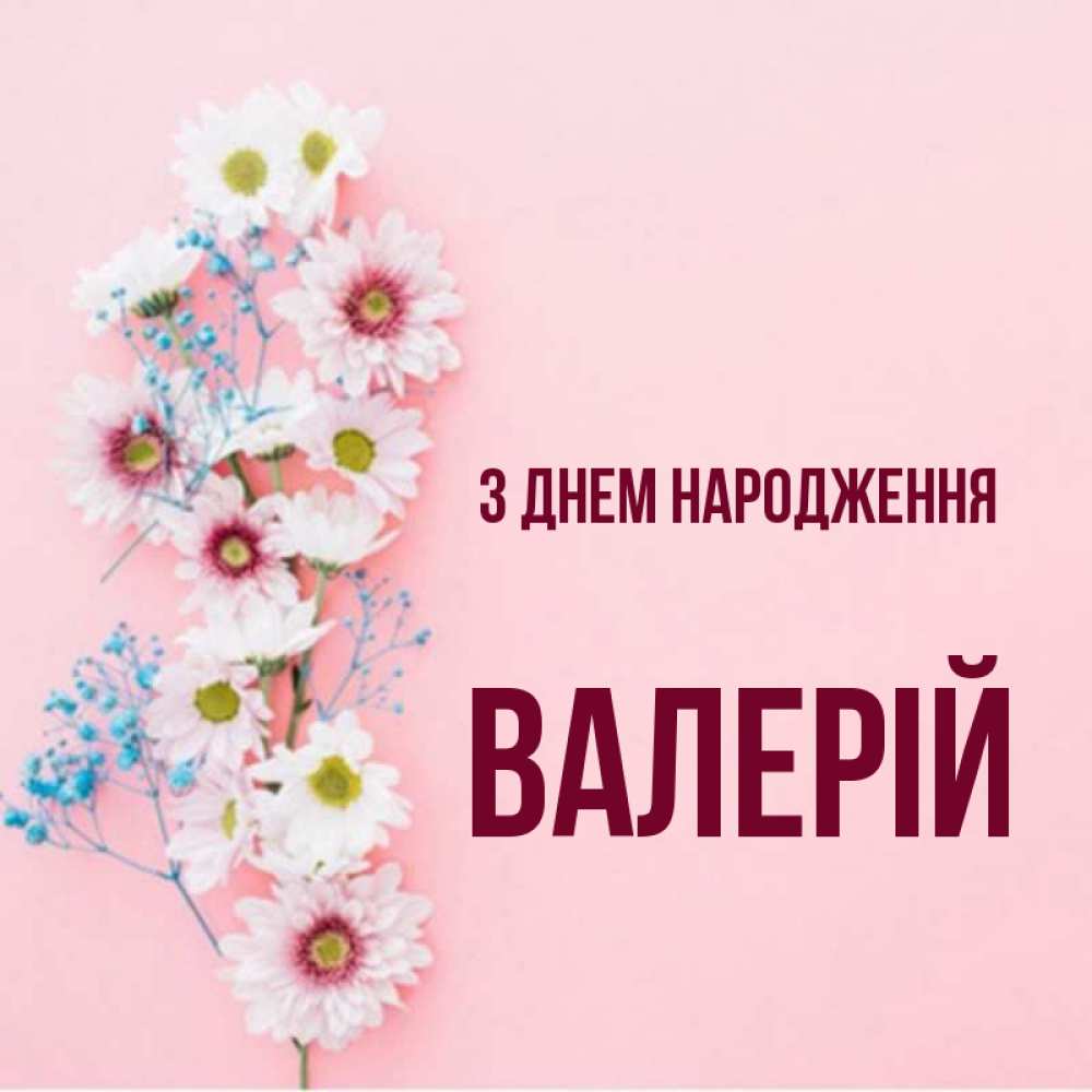 Открытка на каждый день з підписом, Валерій З Днем народження Родная моя с днем рождения тебя картинка с цветами белыми и голубыми Прикольна листівка з побажанням онлайн скачати безкоштовно 