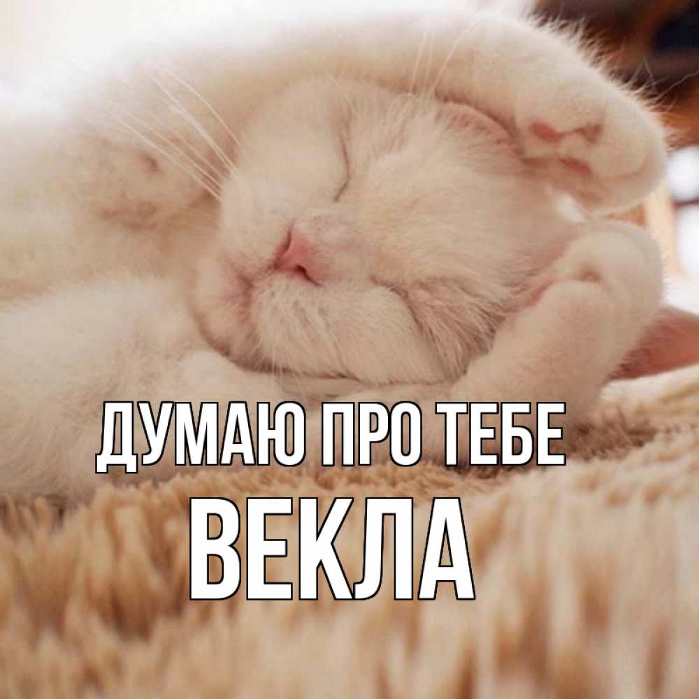 Открытка на каждый день з підписом, Векла Думаю про тебе для любимой девушки милота Прикольна листівка з побажанням онлайн скачати безкоштовно 