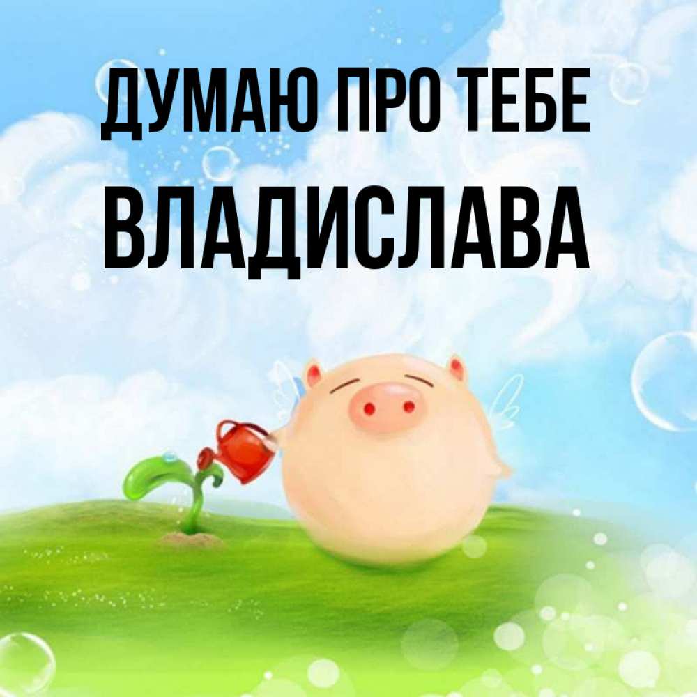 Открытка на каждый день з підписом, Владислава Думаю про тебе позитивная свинюшка Прикольна листівка з побажанням онлайн скачати безкоштовно 