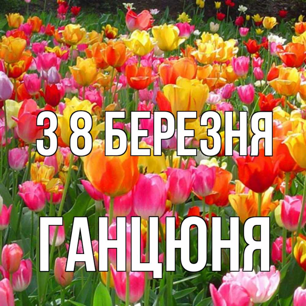 Открытка на каждый день з підписом, Ганцюня З 8 БЕРЕЗНЯ на международный женский день Прикольна листівка з побажанням онлайн скачати безкоштовно 