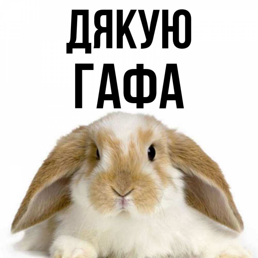 Открытка на каждый день з підписом, Гафа Дякую коричнево белый заяц Прикольна листівка з побажанням онлайн скачати безкоштовно 