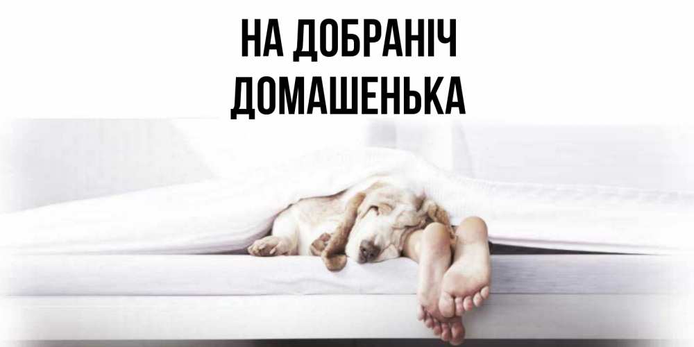 Открытка на каждый день з підписом, Домашенька На добраніч кровать с собакой пожелание сладких снов и спокойной ночи Прикольна листівка з побажанням онлайн скачати безкоштовно 