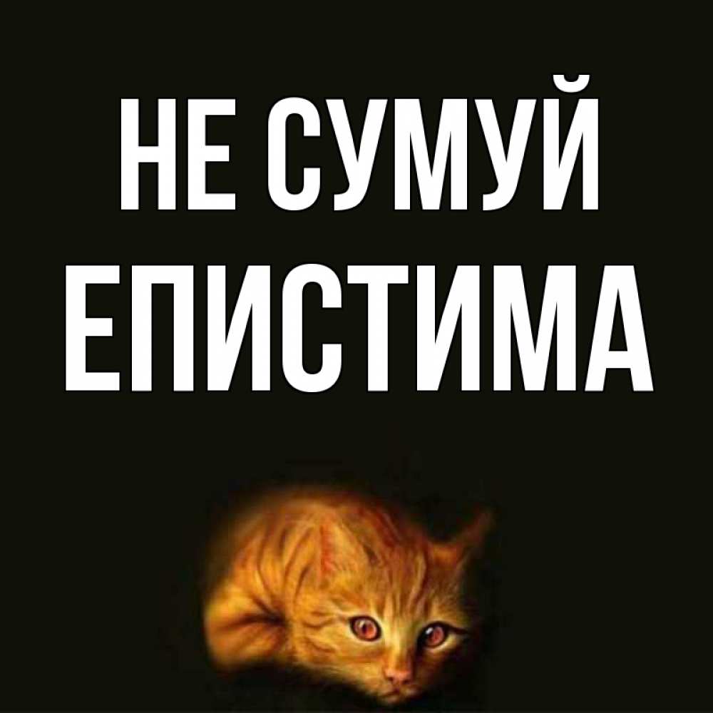 Открытка на каждый день з підписом, Епистима Не сумуй лежащий кот в темноте Прикольна листівка з побажанням онлайн скачати безкоштовно 