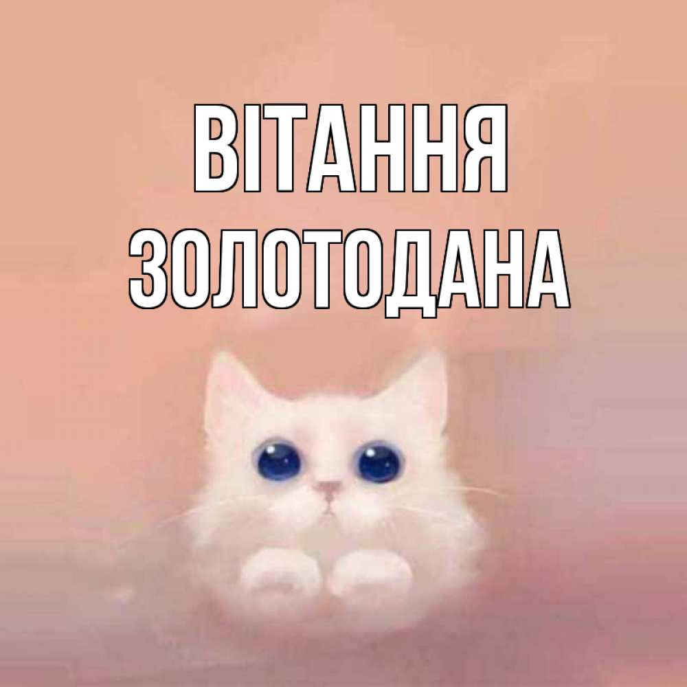 Открытка на каждый день з підписом, Золотодана Вітання котик белый в полете Прикольна листівка з побажанням онлайн скачати безкоштовно 