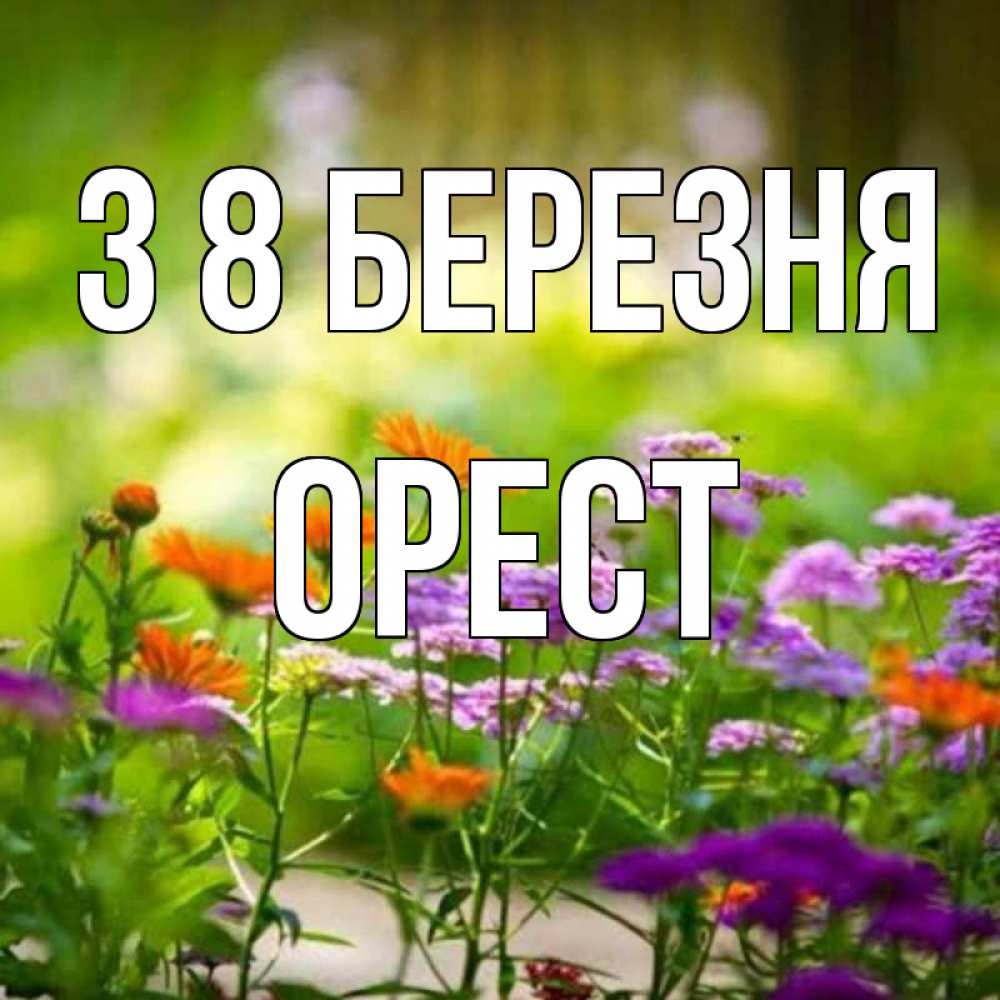 Открытка на каждый день з підписом, Орест З 8 БЕРЕЗНЯ цветы Прикольна листівка з побажанням онлайн скачати безкоштовно 