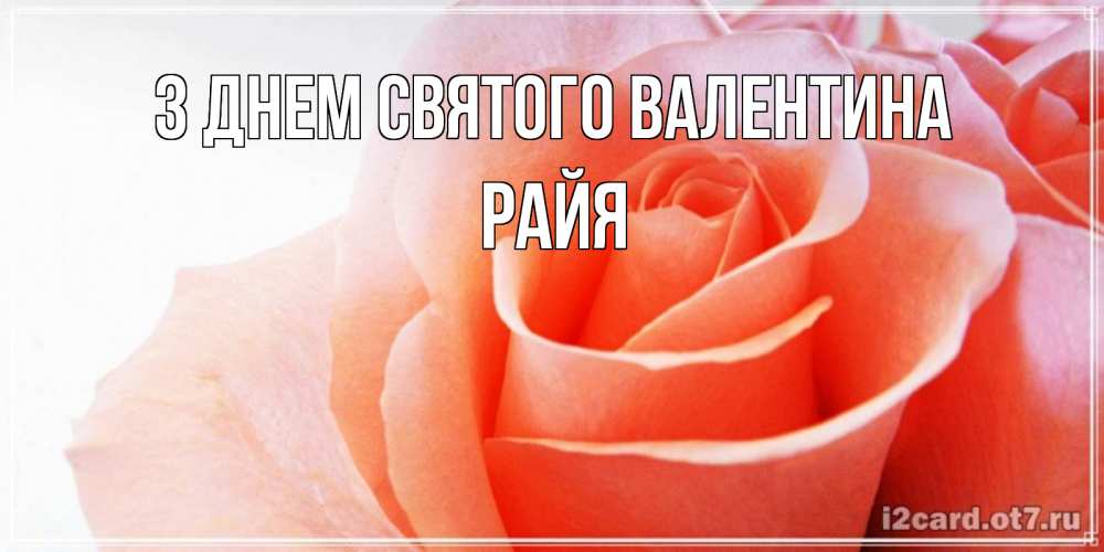 Открытка на каждый день з підписом, Райя З Днем Святого Валентина открытка на день Святого Валентина с розовой розой Прикольна листівка з побажанням онлайн скачати безкоштовно 