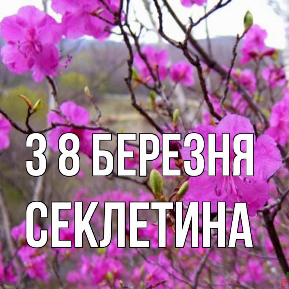Открытка на каждый день з підписом, Секлетина З 8 БЕРЕЗНЯ международный женский день Прикольна листівка з побажанням онлайн скачати безкоштовно 
